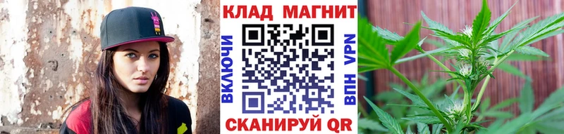 МЕФ Камышлов